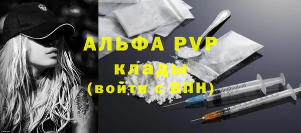 крисы Армянск